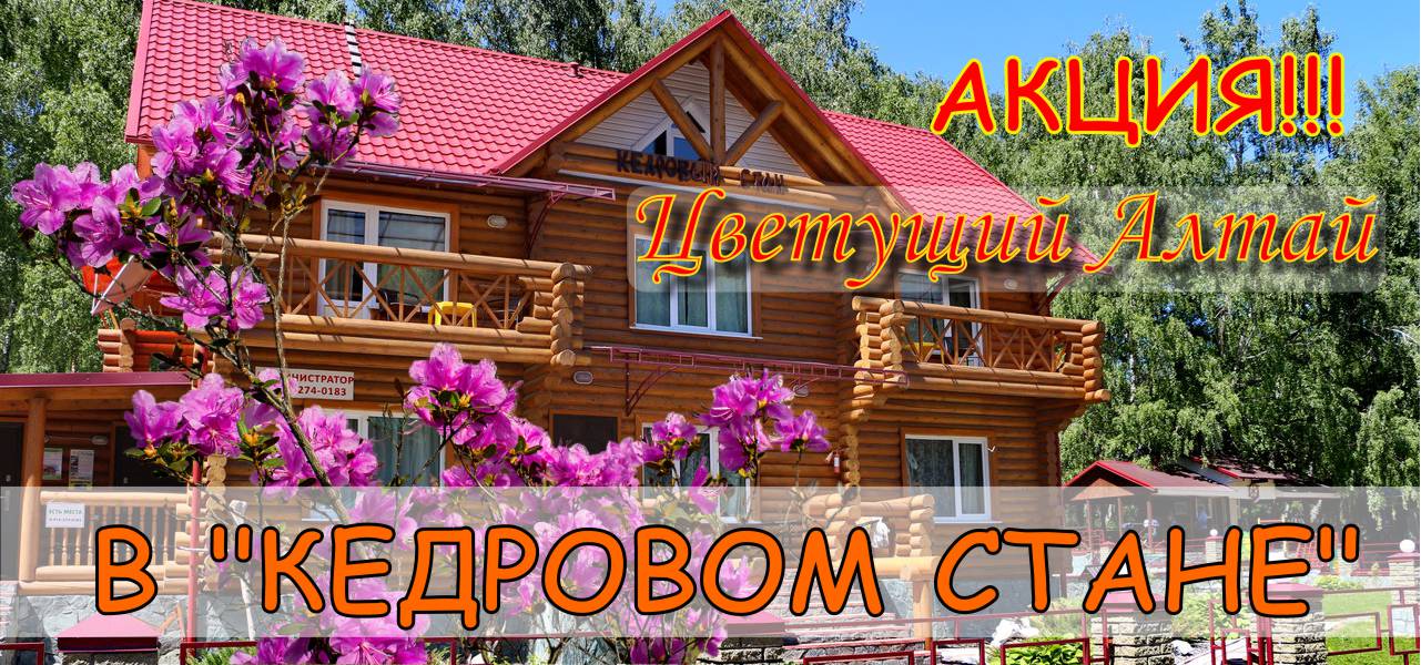 АКЦИЯ в отеле Кедровый стан - Цветущий Алтай