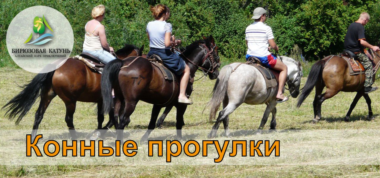 Конные прогулки по территории ТК Бирюзовая Катунь