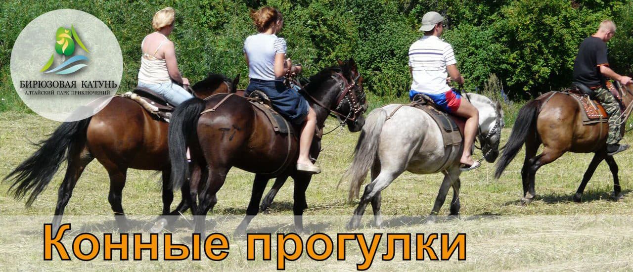 Конные прогулки на Базе "Охотничье хозяйство" ТК Бирюзовая Катунь 